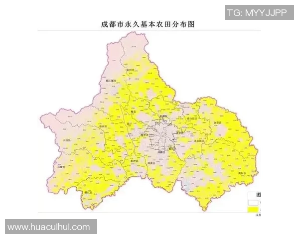 成都排球队包夹战术的优劣分析与未来发展方向探讨